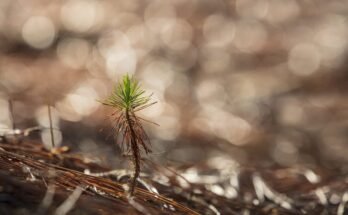 5 predictions for the insurance industry in 2025 | Insurance blog