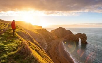 5 predictions for the insurance industry in 2024 | Insurance blog
