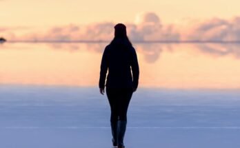 Insurance News: Special Edition for International Women’s Day | Insurance blog