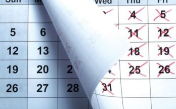 MIT Live: Review of temporary mortgage rules here by Christmas, says FCA – Mortgage Strategy