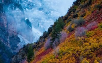 How seasonality should change your PPC strategy
