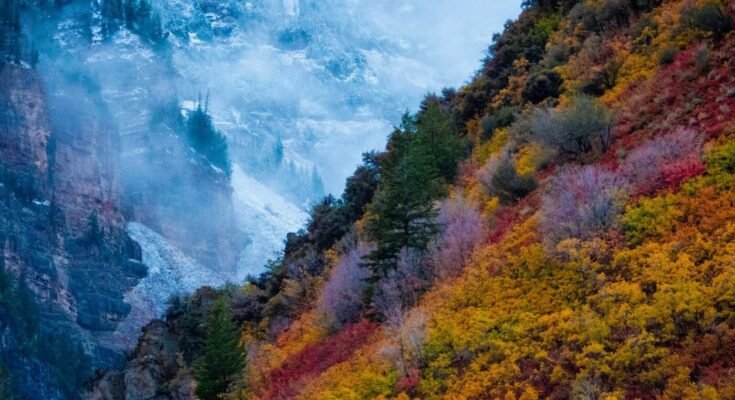 How seasonality should change your PPC strategy