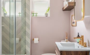 An old pink bathroom in Philadelphia gets a modern update
