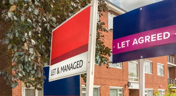 Buy-to-let returns are at their highest level since 2011 Buy-to-let returns are at their highest level since 2011